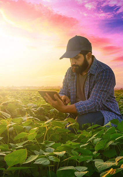 Building a connected digital foundation for HBL Zarai Services with Microsoft